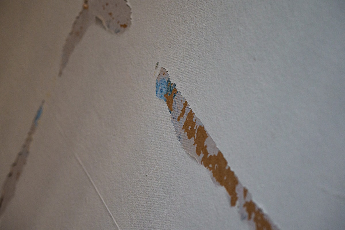 Mold Remediation service in Honolulu, HI